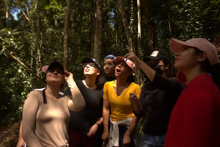 Treinamento de sobrevivência na Selva