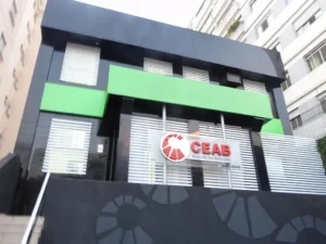 escola de aviação
