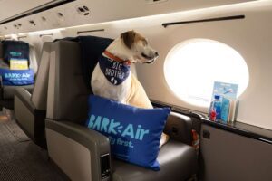 Bark Air - Primeira Companhia Aérea para cães